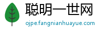 聪明一世网